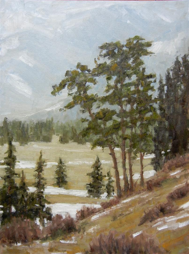 Rocky Mountain 12x16