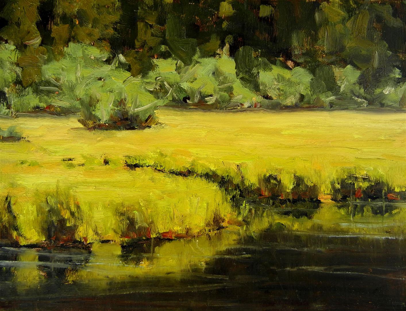 Marsh 9x12