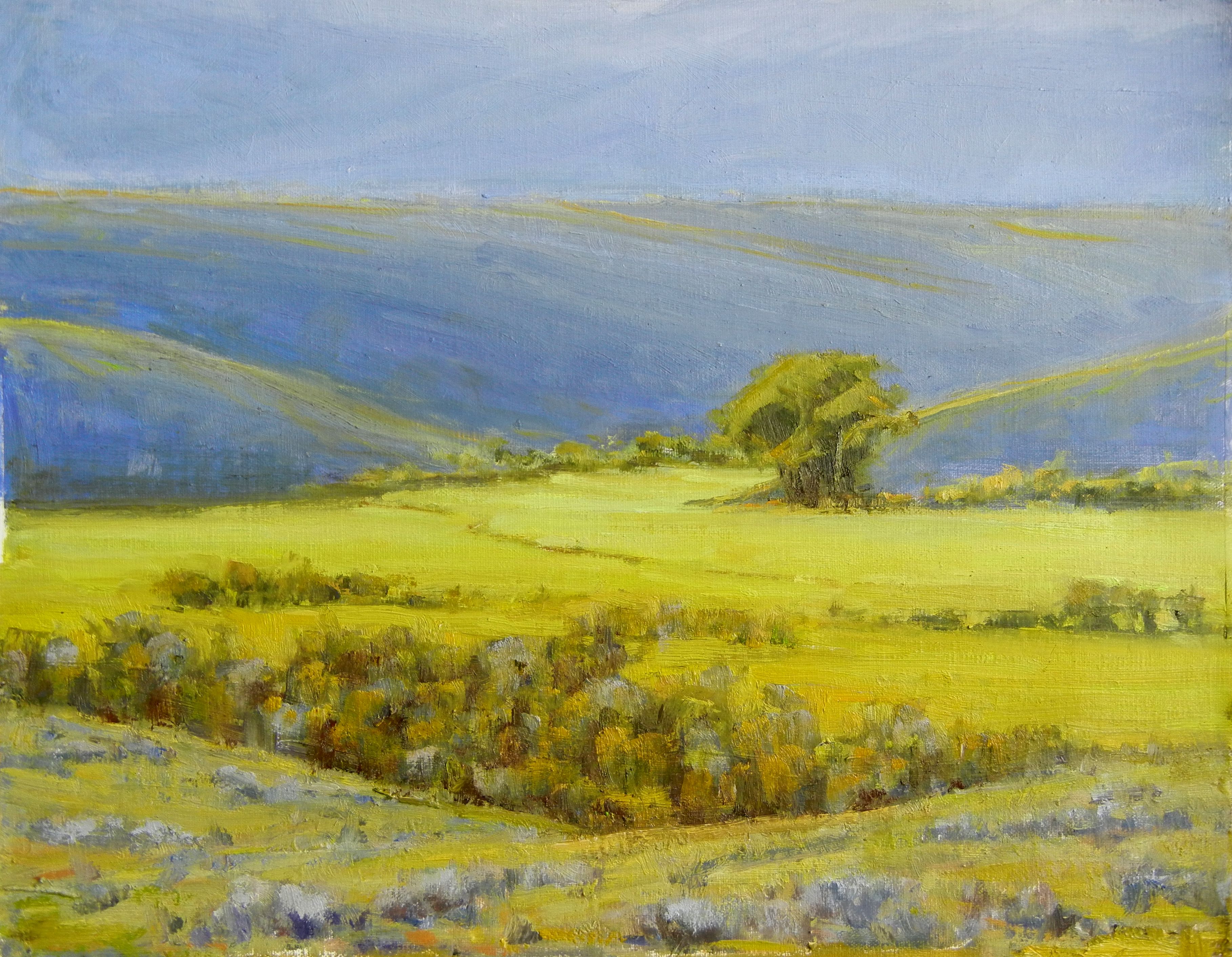 Glowing Fields 11x14