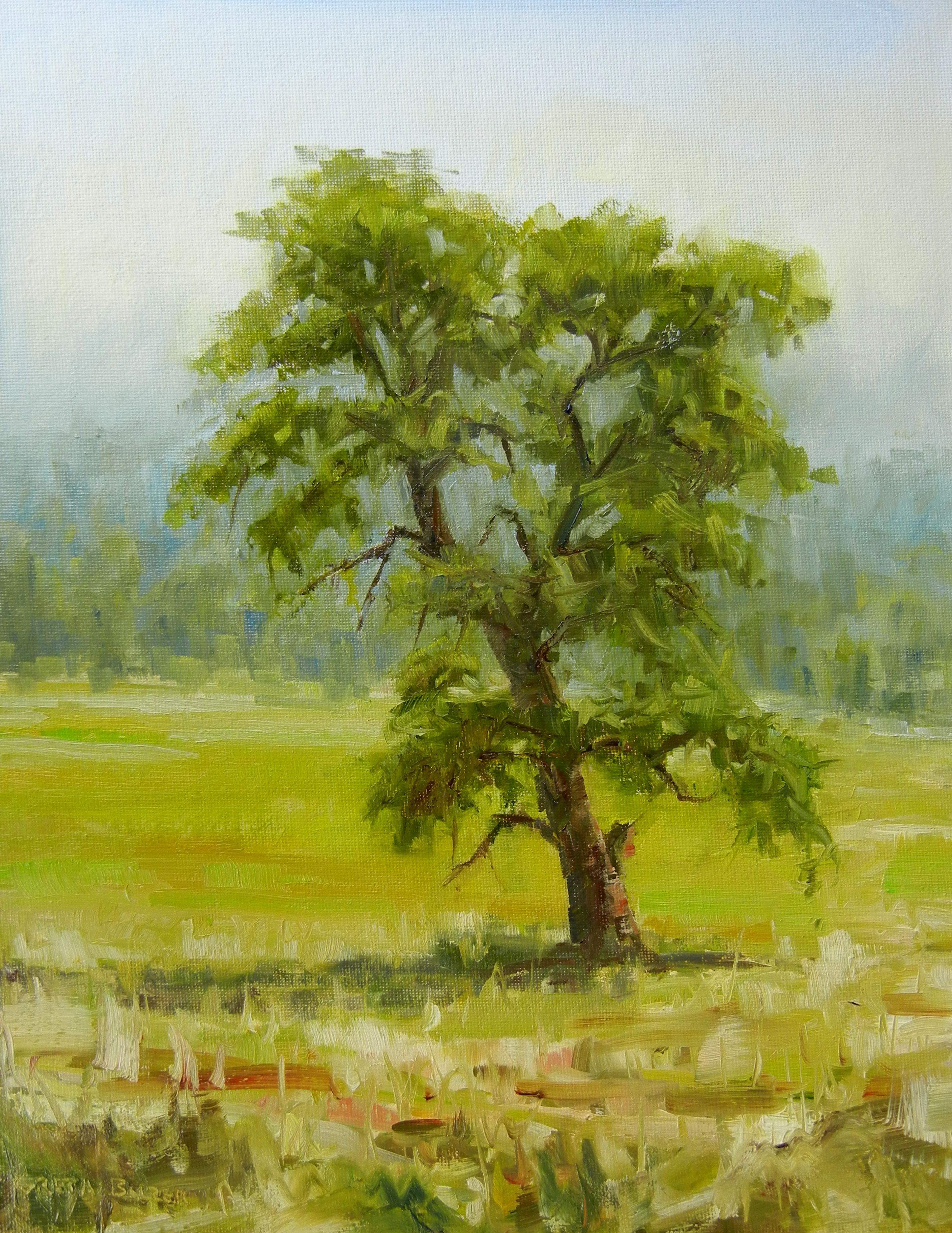 Lone Tree 11x14