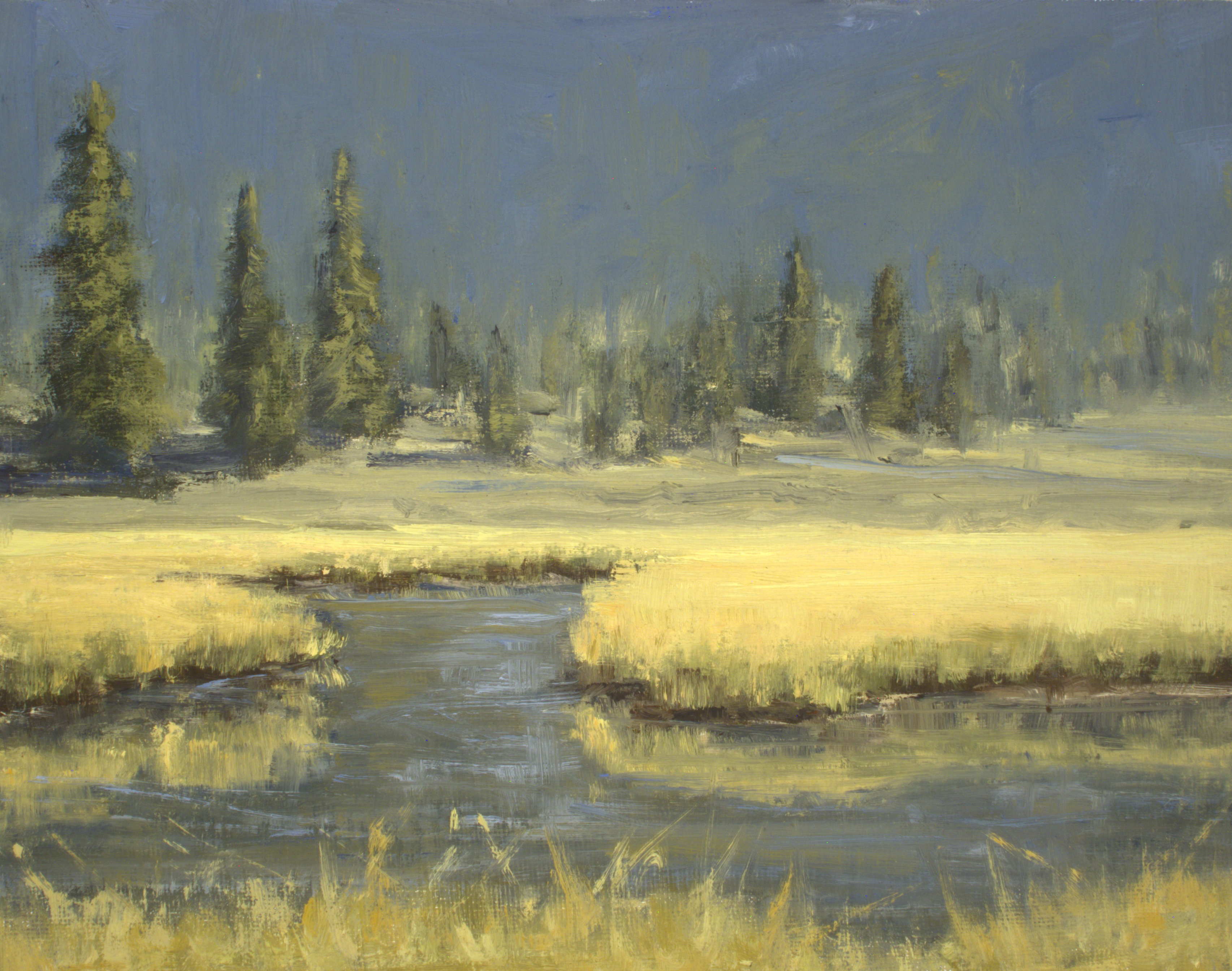 Reflections RNMP 8 x 10